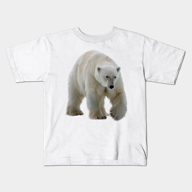 Polar Bear Kids T-Shirt by MysticTimeline